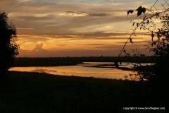 Chobe N.P.