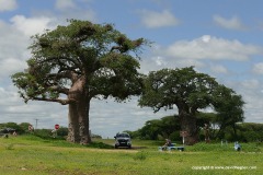 Near Muchenje