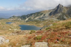 Rila
