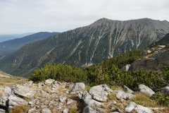 Pirin