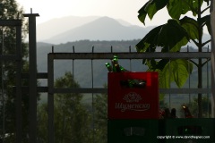 Pirin