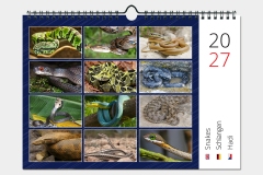 Hadi - titulní strana