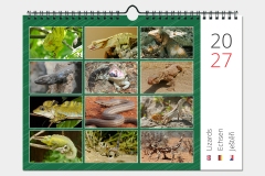 Ještěři - titulní strana