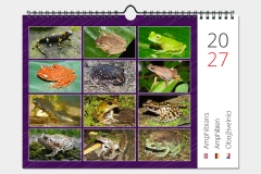 Obojživelníci - titulní strana