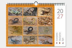 Štíři - titulní strana