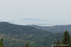 Afionas.