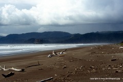 Santa Rosa N.P.