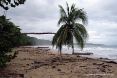 Manzanillo