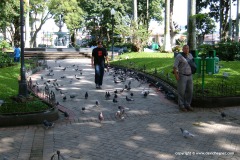 Alajuela