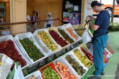 Alajuela