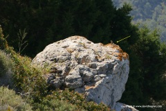 Akamas Peninsula