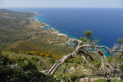 Aphrodite Trail