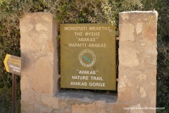 Avakas Gorge