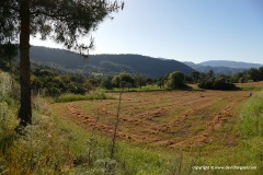 Troodos Mts.