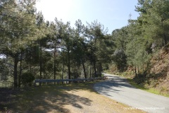 Troodos Mts.