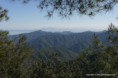 Troodos Mts.