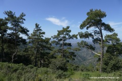 Troodos Mts.