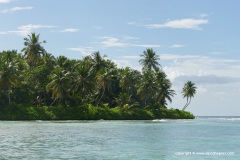 Saona