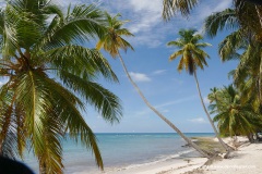Saona