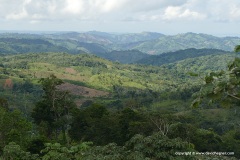 Cordillera Oriental