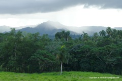 Cordillera Oriental