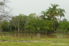 Los Llanos