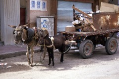 Beni Suef
