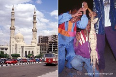 Cairo | Baris