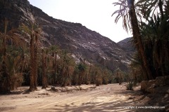 Wadi Feiran