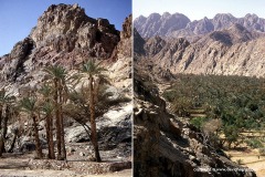 Wadi Feiran