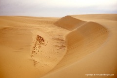Sand dunes, Baris