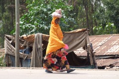 Harar