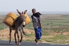 S of Ji Jiga