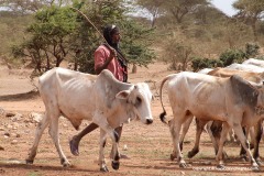 Near Degeh Bur
