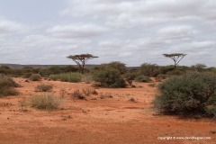 Near Degeh Bur