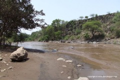 Awash River
