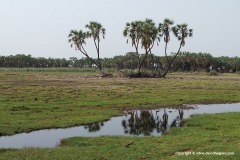 Near Mt. Fentale