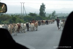 E of Addis Ababa
