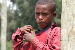 Harar