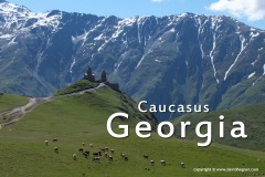 Georgia 2013