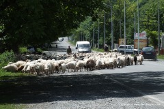 North of Tbilisi
