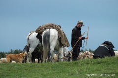 Lesser Caucasus