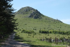 Near Gurjumi