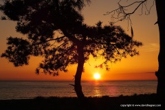 Black Sea coast