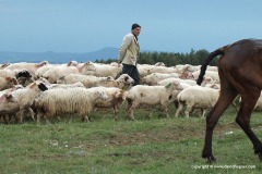 Countryside
