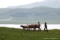 Countryside