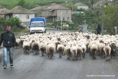 Countryside