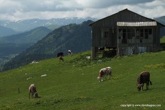 Lesser Caucasus