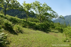 Batumi Mts.