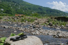 Batumi Mts.